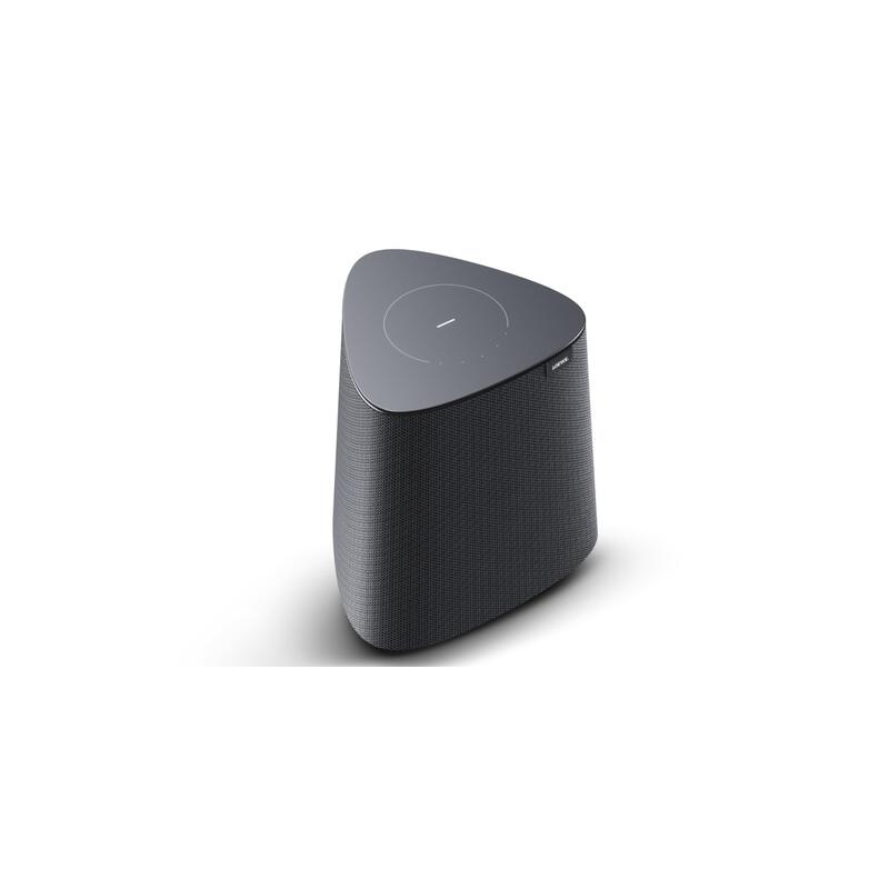 Altavoz Multiroom Loewe Klang Mr1 30w Wifi Bt Dts Play-Fi Airplay 2 Chromecast Gris