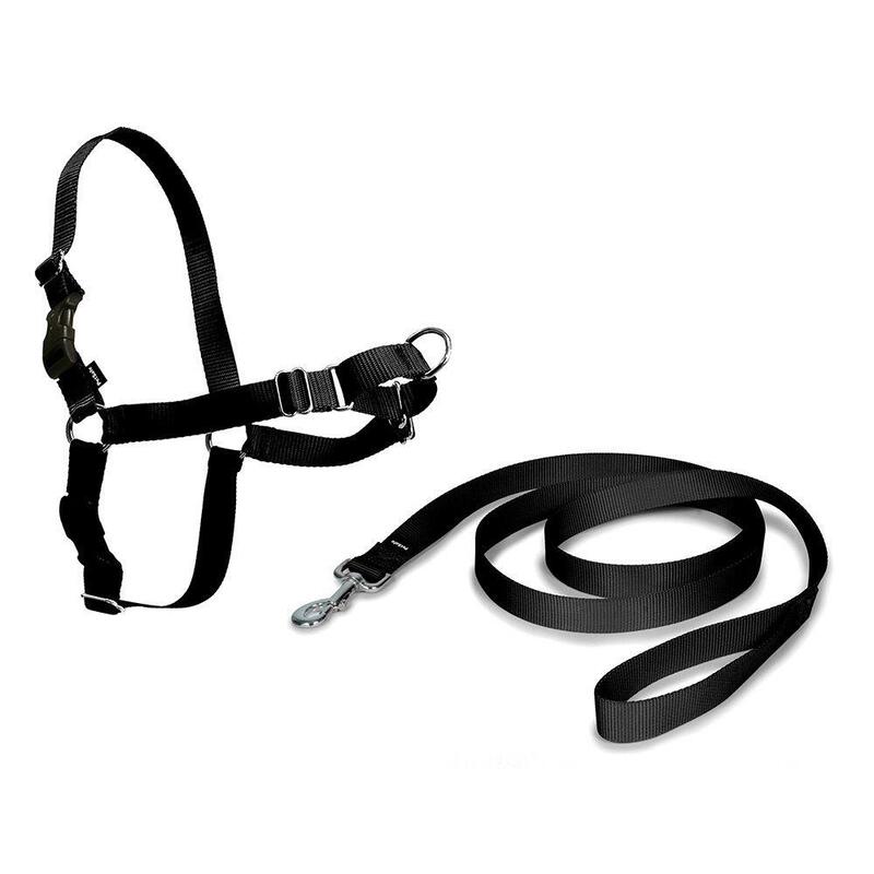 Arnés Easy Walk Negro Grande 69-101 Cm