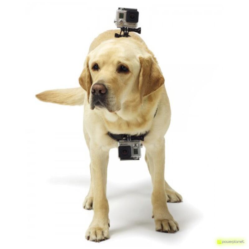 Arnés Fetch Para Mascotas