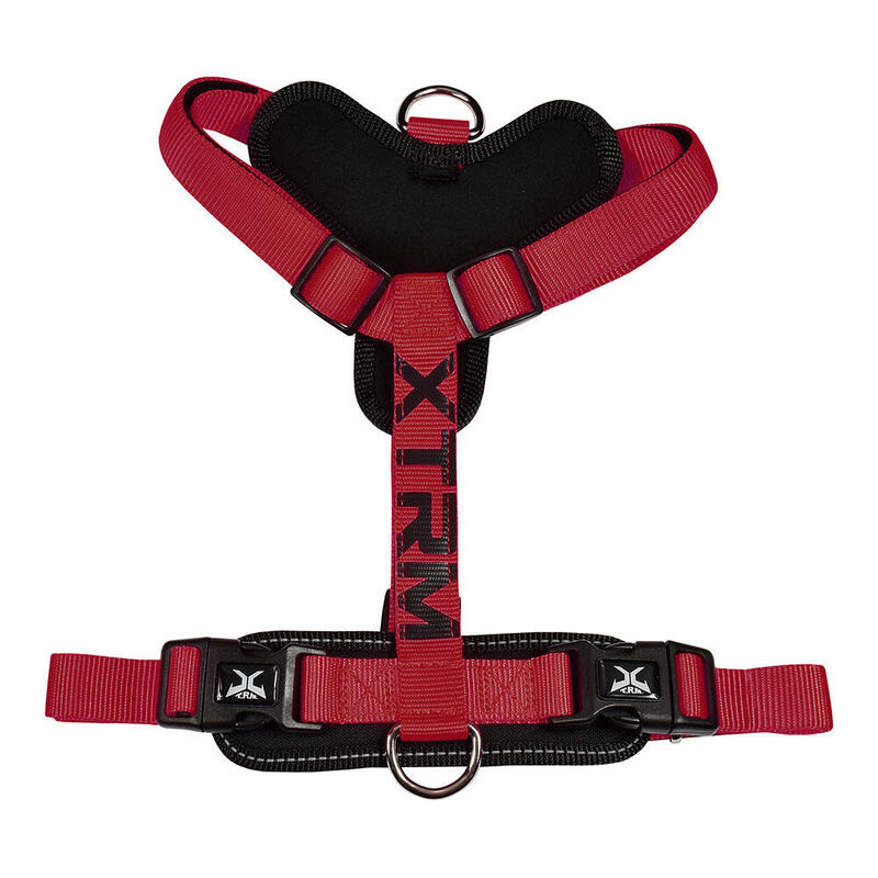 Arnés X-Trm Cronos Neon Flash Rojo/Negro, T-L 25 Mm X 60-100 Cm