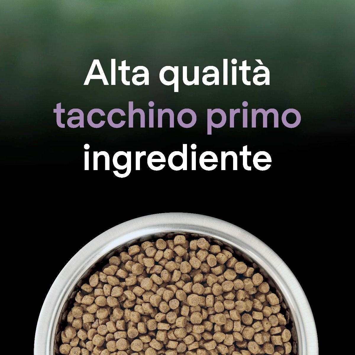 Purina Pro Plan Liveclear Kitten Bogata W Indyka 1,4kg