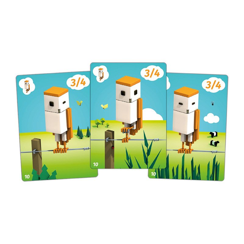 Pegasus Cubirds, Juego De Mesa Bgc36714