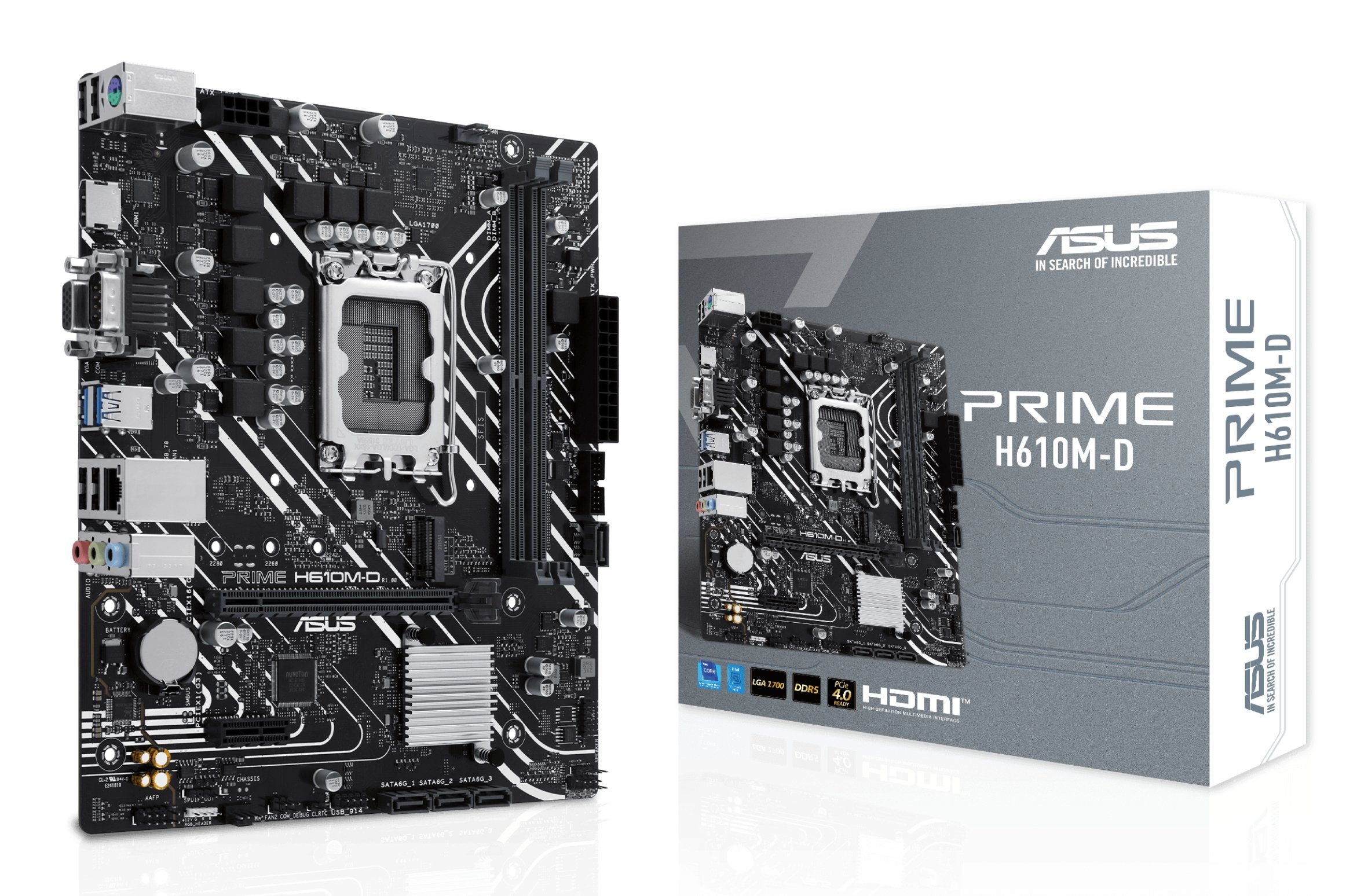 EAN 4711387339893 - ASUS PRIME H610M-D Intel H610 LGA 1700 micro ATX imagen 1