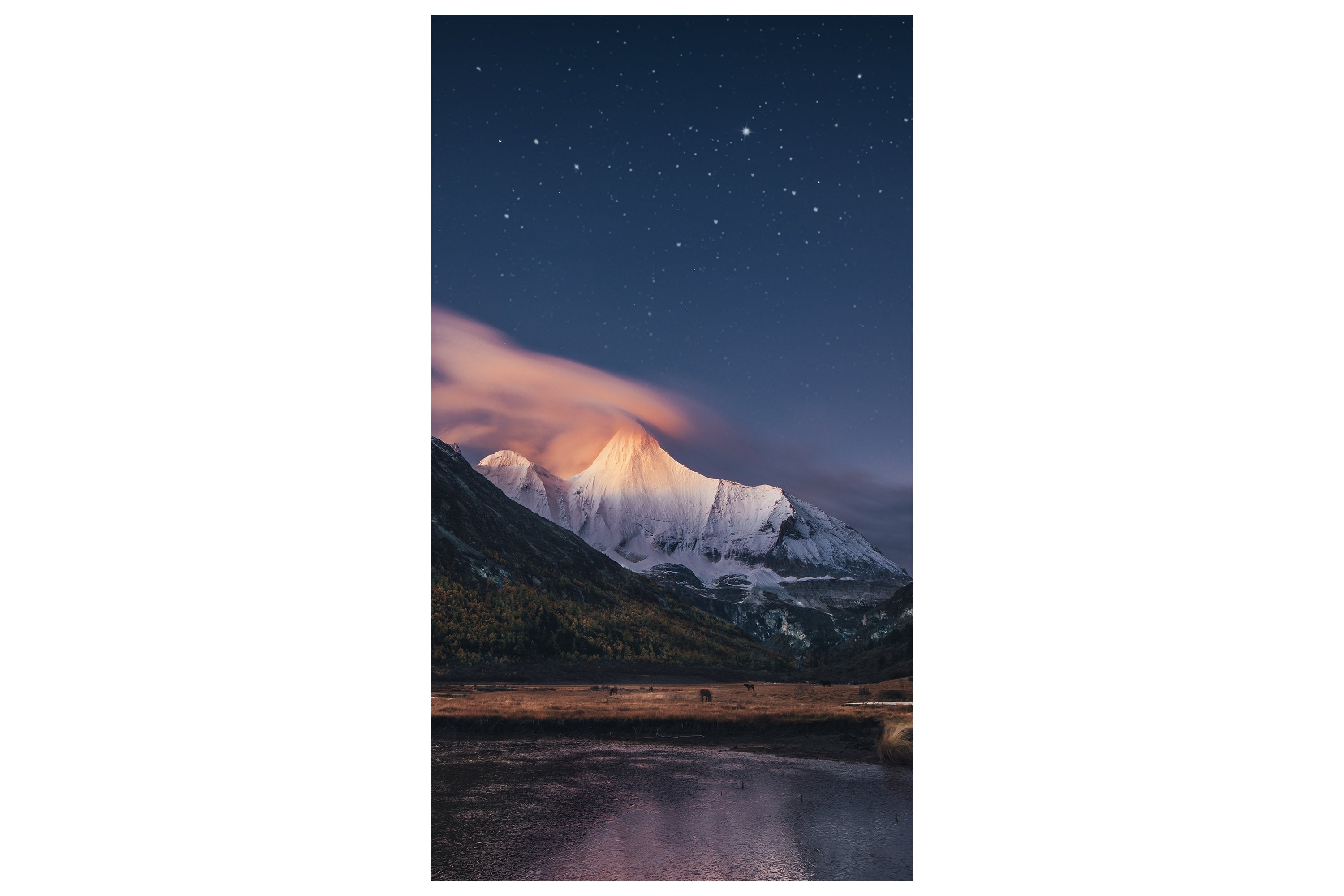 Samsung Smart Signage Vm55b-R  138,7cm(55") Led Negro