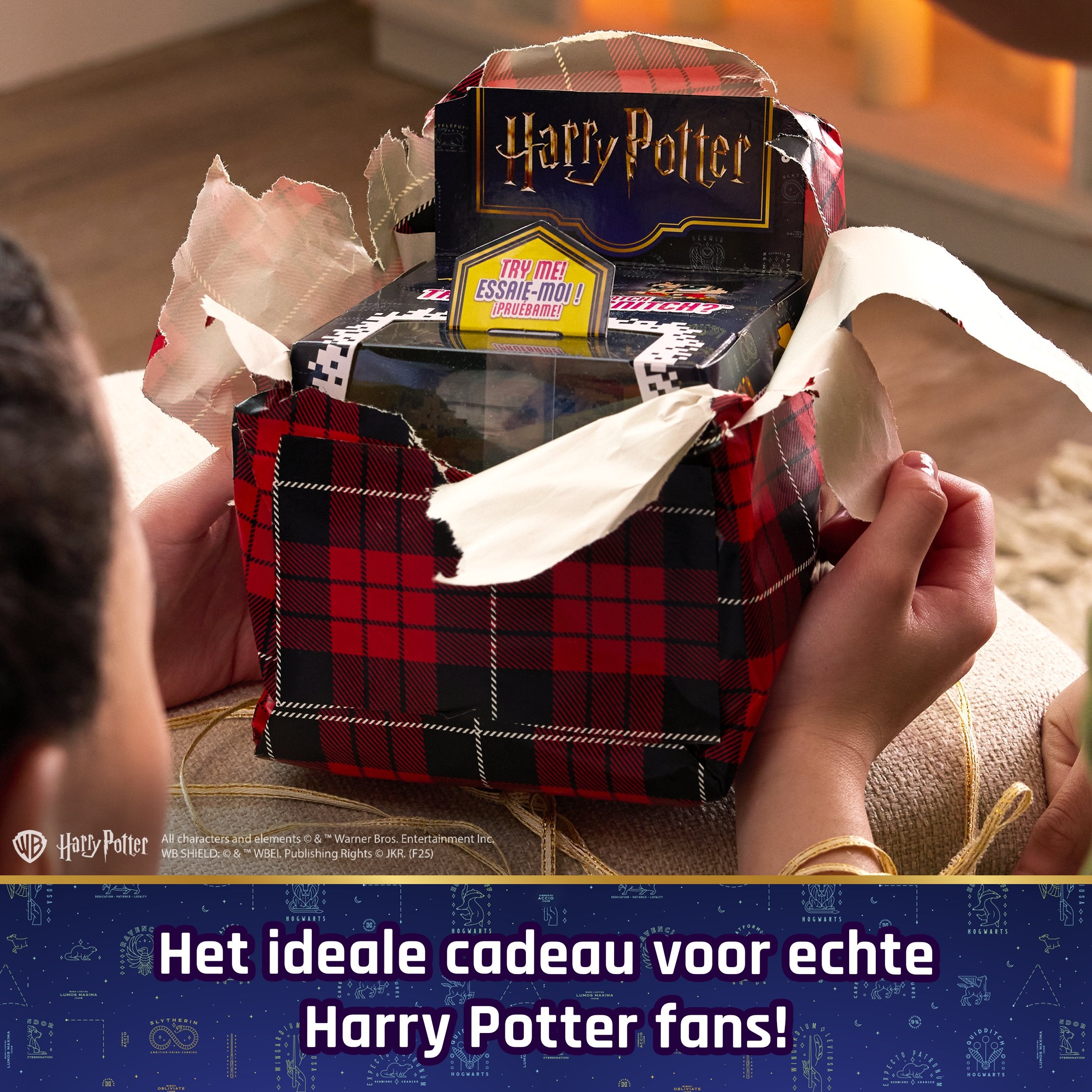 EAN 0681147060029 - Wizarding World WWO INA BitzeeInt WizardingWorld GML imagen 5