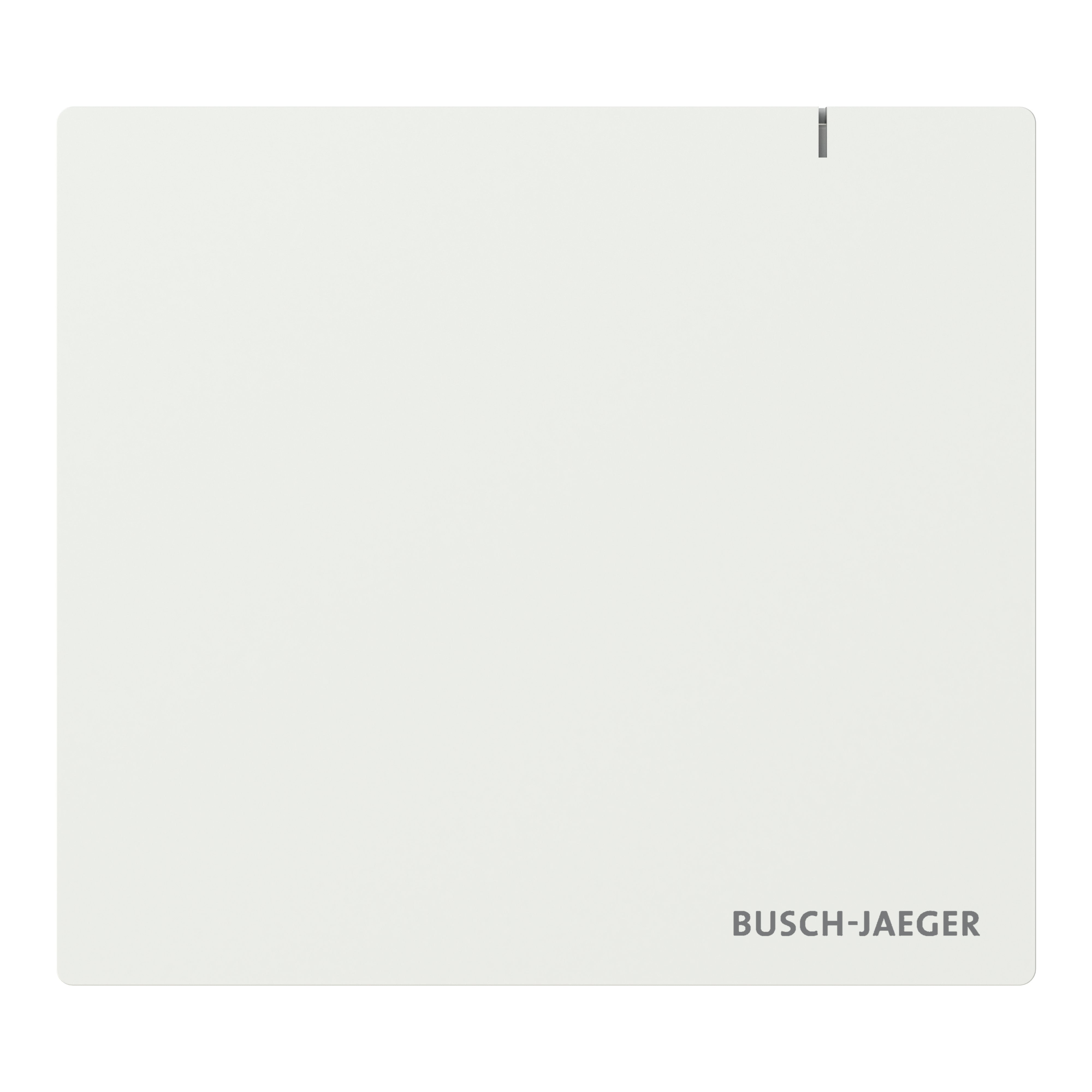 EAN 4011395346068 - Busch-Jaeger 2CKA006200A0868 placa de pared y cubierta de interruptor Blanco imagen 1
