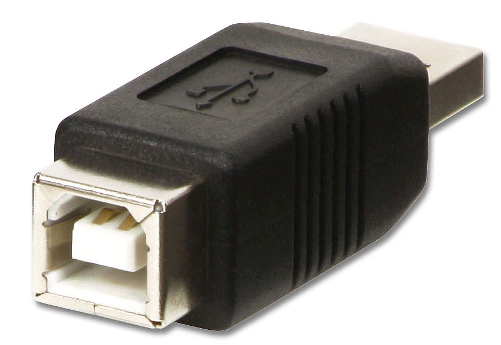 Lindy Adaptador Usb Tipo A/Bm/Fa Macho A B Hembra