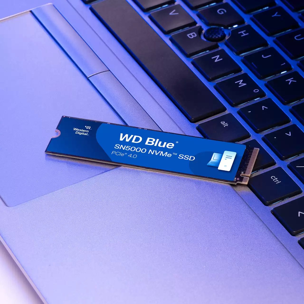 EAN 0718037894850 - Western Digital Blue SN5000 500 GB M.2 PCI Express 4.0 NVMe 3D TLC NAND imagen 3