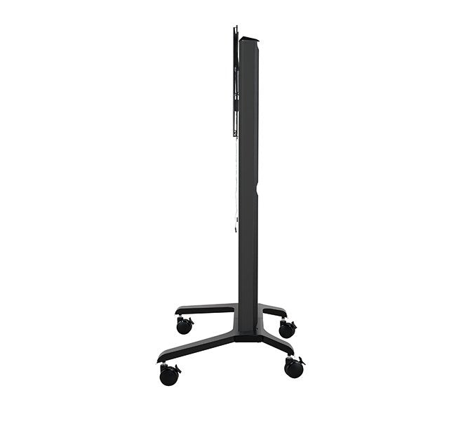 Bt8564/Bb V2