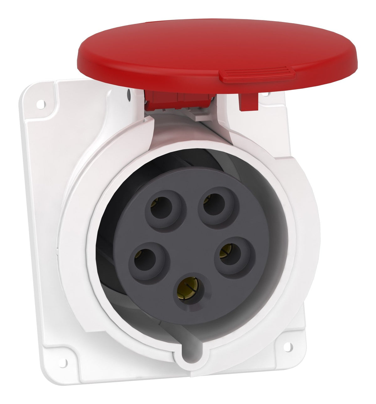 EAN 4013984117448 - Schneider Electric 205034 toma de corriente imagen 1