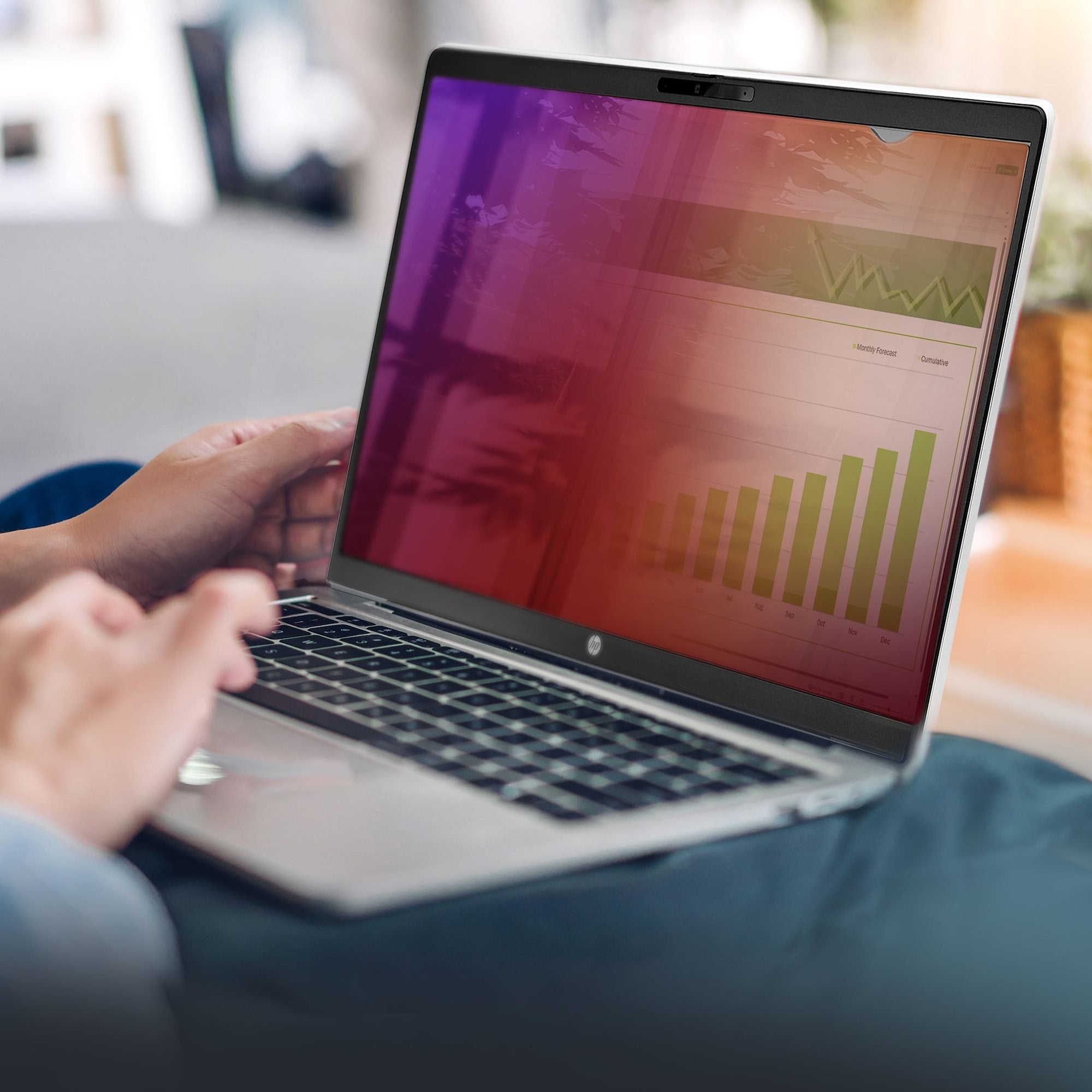 Startech.Com 156g-Privacy-Screen Filtro Para Monitor Filtro De Privacidad Para Pantallas Sin Marco 39,6 Cm [15.6]