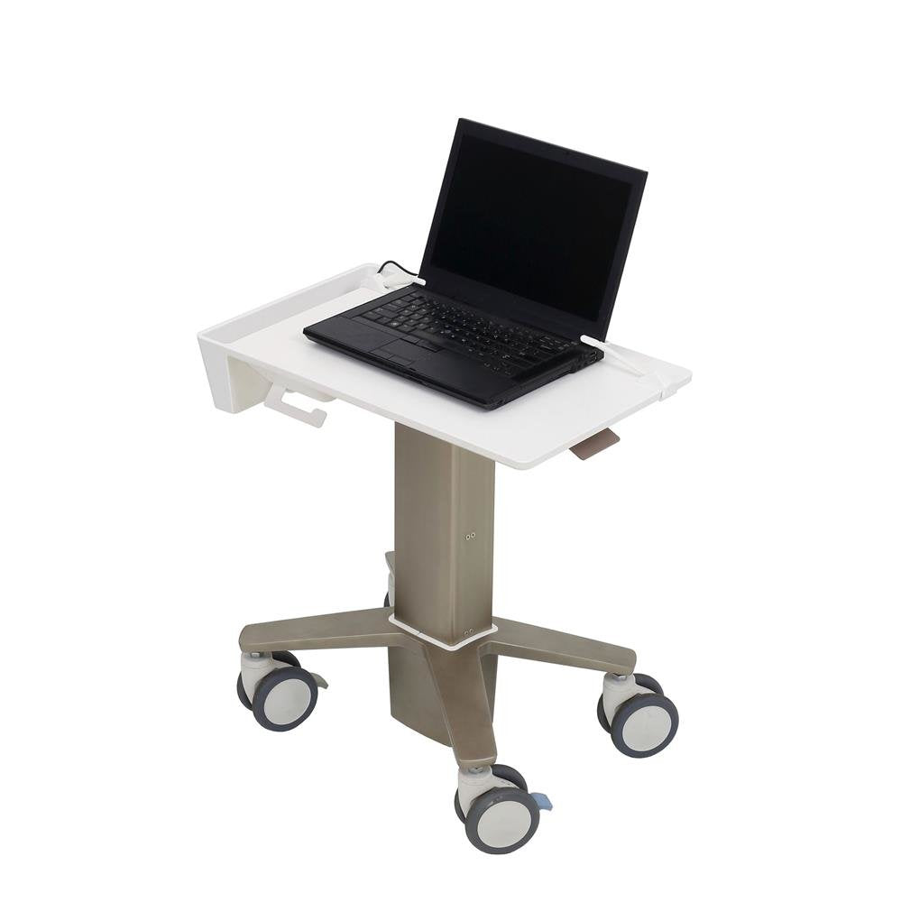Ergotron C50-1100-0 Soporte Para Ordenador Portátil 39,6 Cm [15.6] Gris