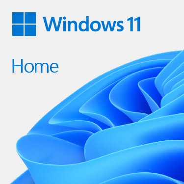 Windows Home 11 32/64bit Esp Usb