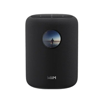 EAN 0741365254560 - WiiM Sound De 2 vías Negro Inalámbrico y alámbrico 100 W imagen 1