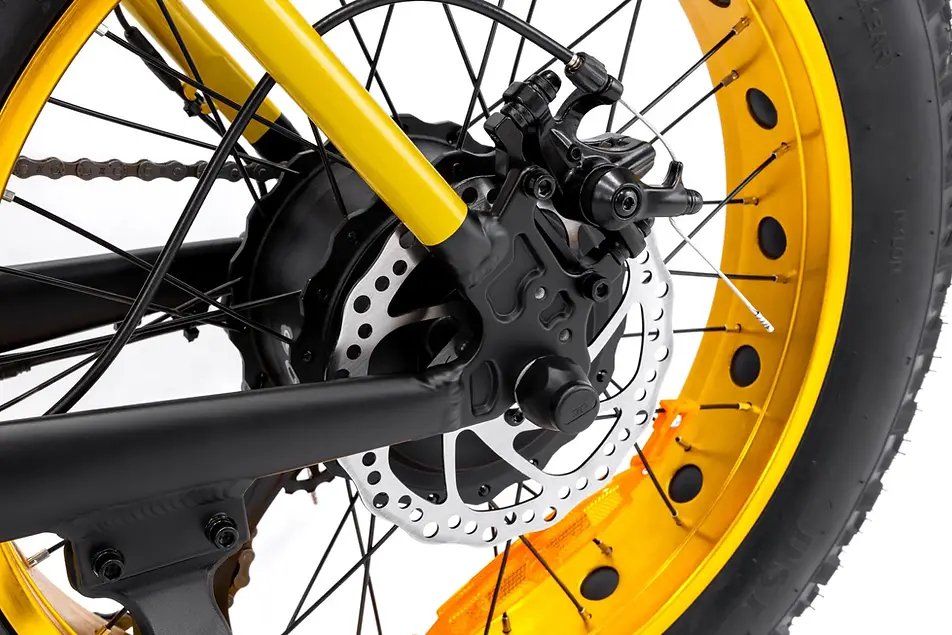 E Bike Mini Max 20x4p Gold