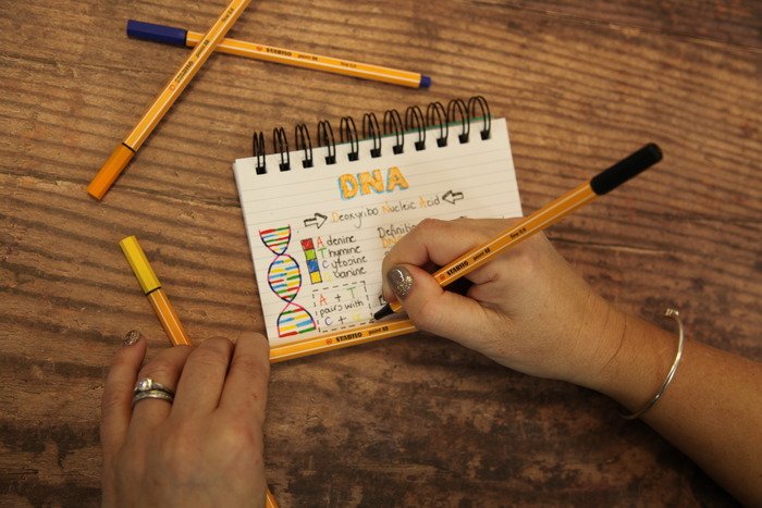 EAN 4006381292313 - STABILO point 88 rotulador de punta fina Verde 1 pieza(s) imagen 10