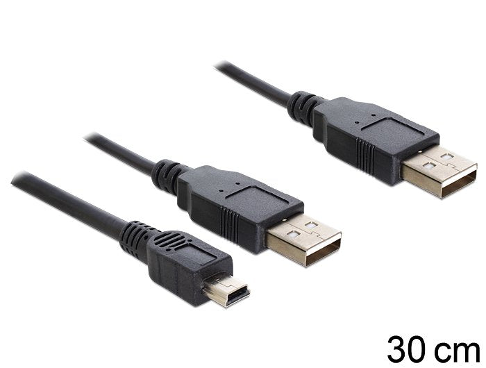 Delock Cable 2 X Usb 2.0-A Male  Usb Mini 5-Pin.30cm