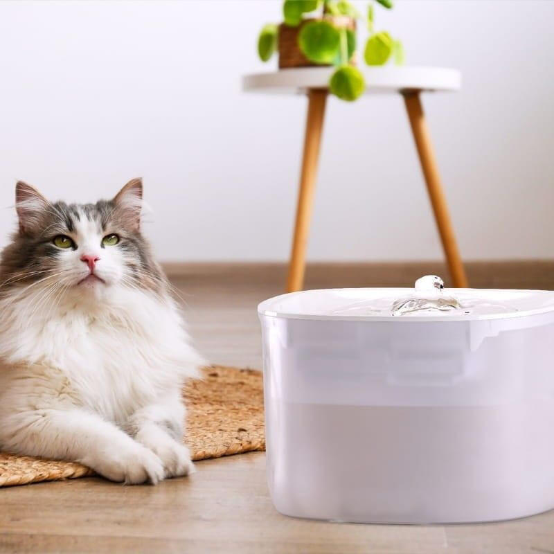 Bebedero Petoneer Fresco Ezgo Smart Pet Fountain