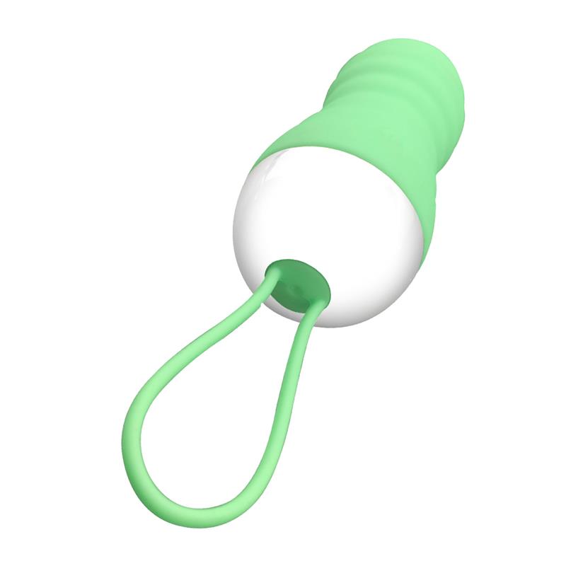 Brightgreen Huevo Vibrador Control Remoto Usb Silicona