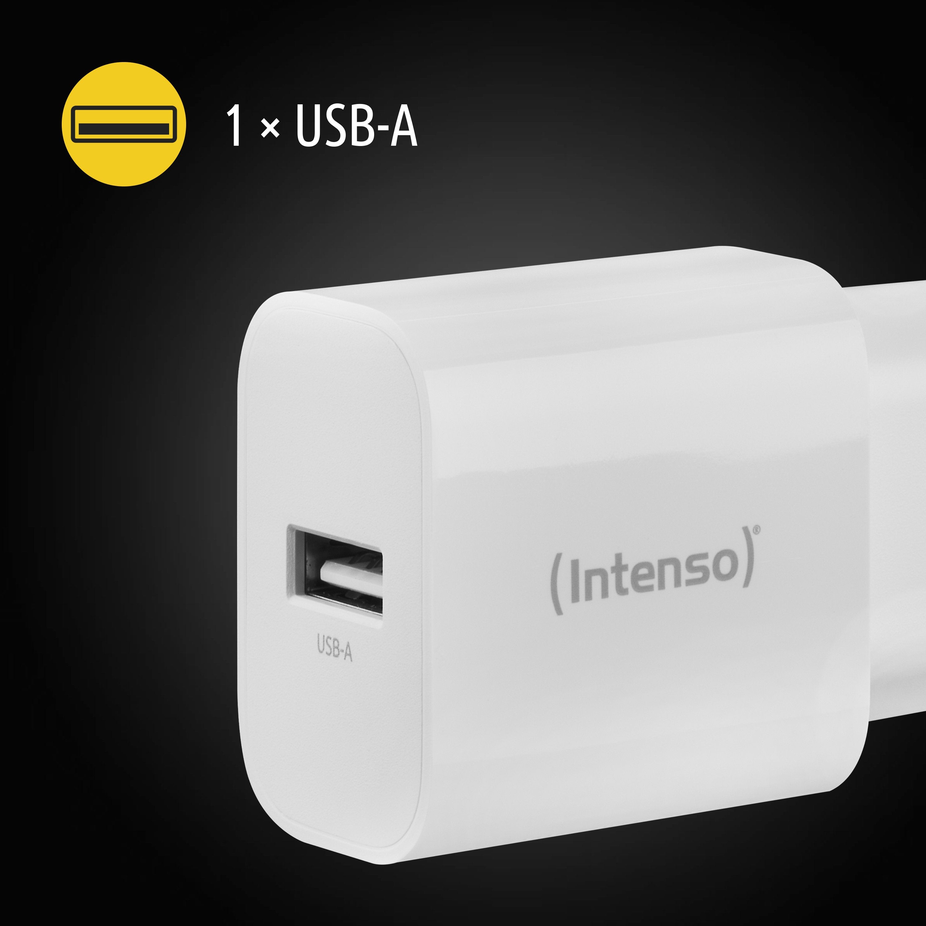 Intenso Usb-Ladegerät Doppelpack: Je 1 X Usb-A 5 Watt Blanco