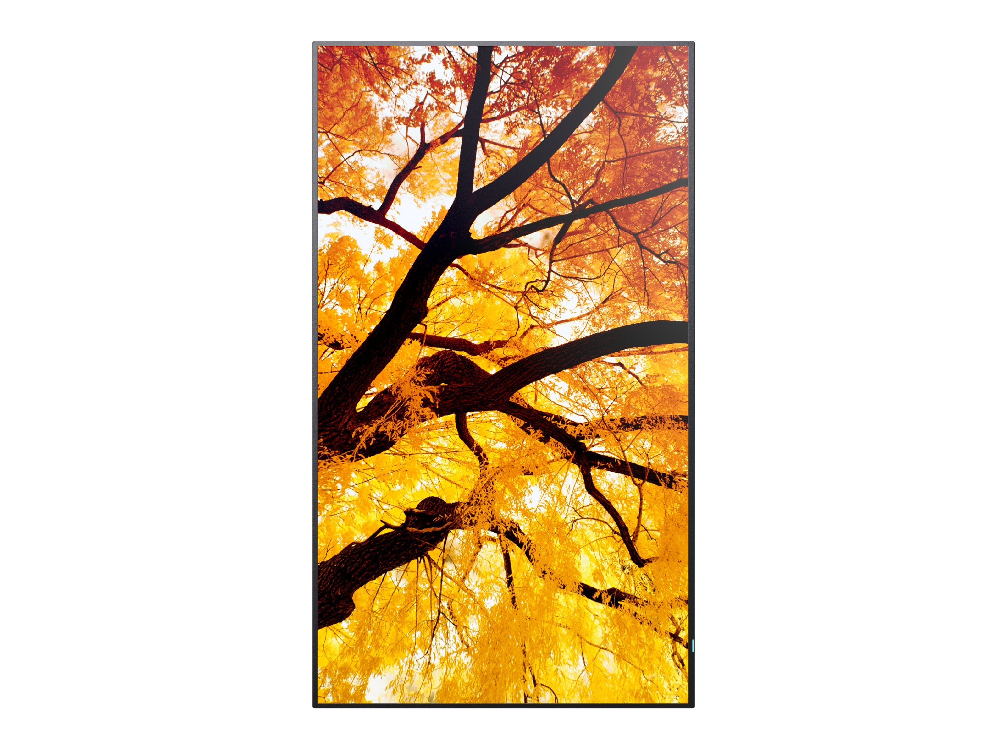 Sharp Multisync M982 Panel Plano Interactivo 2,48 M (97.5") Led 550 Cd / M² 4k Ultra Hd Negro 24/7