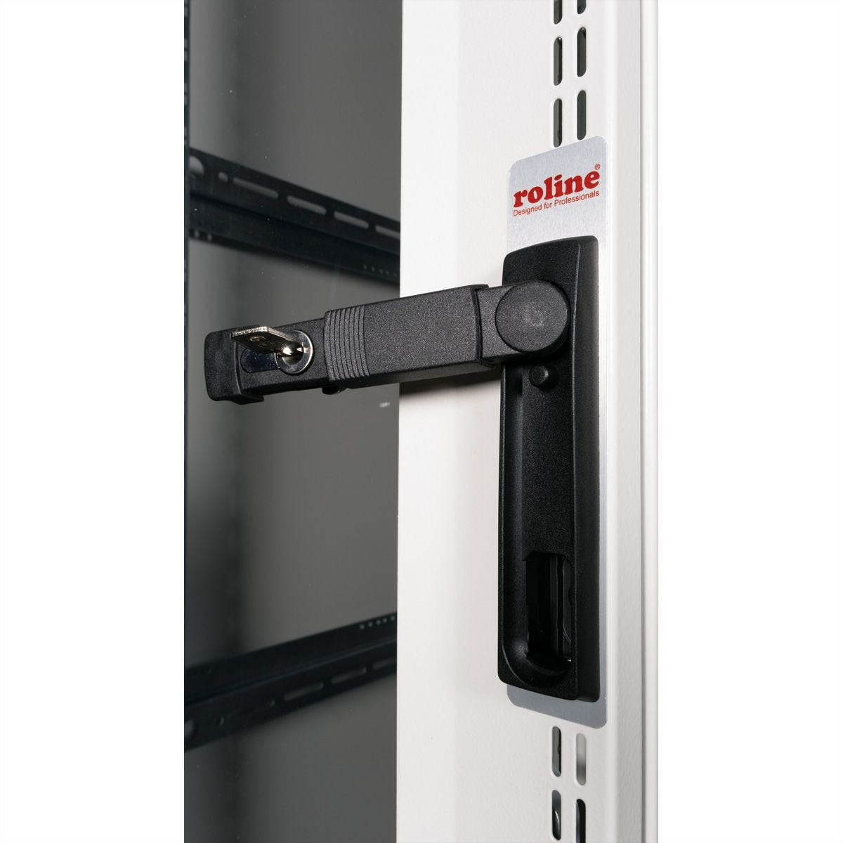 Roline 19-Zoll Serverschrank Pro 36 He, 600x1000 Bxt Grau Plexiglas
