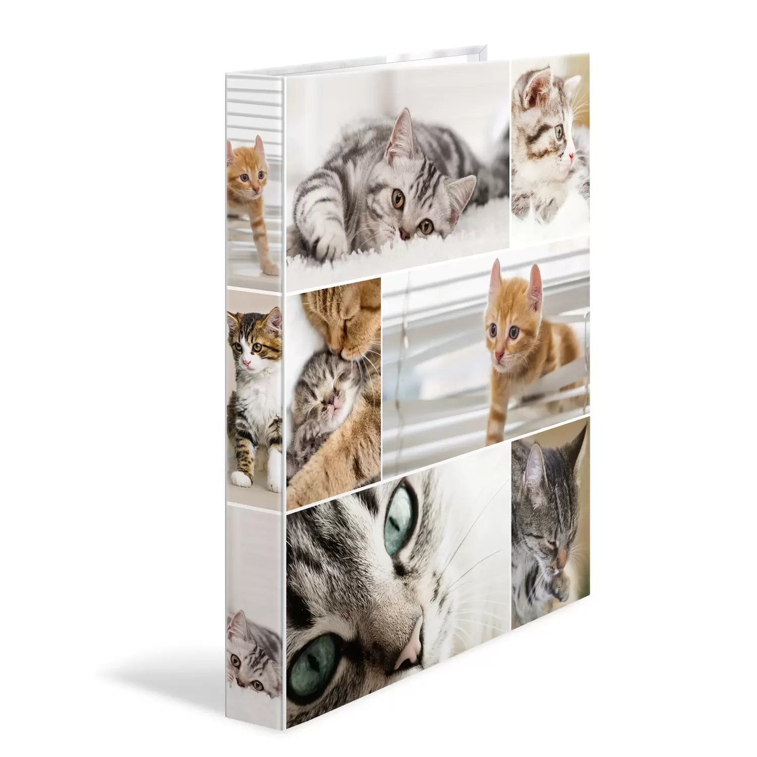 Herma Carpeta De Anillas A4 Katzen 2d