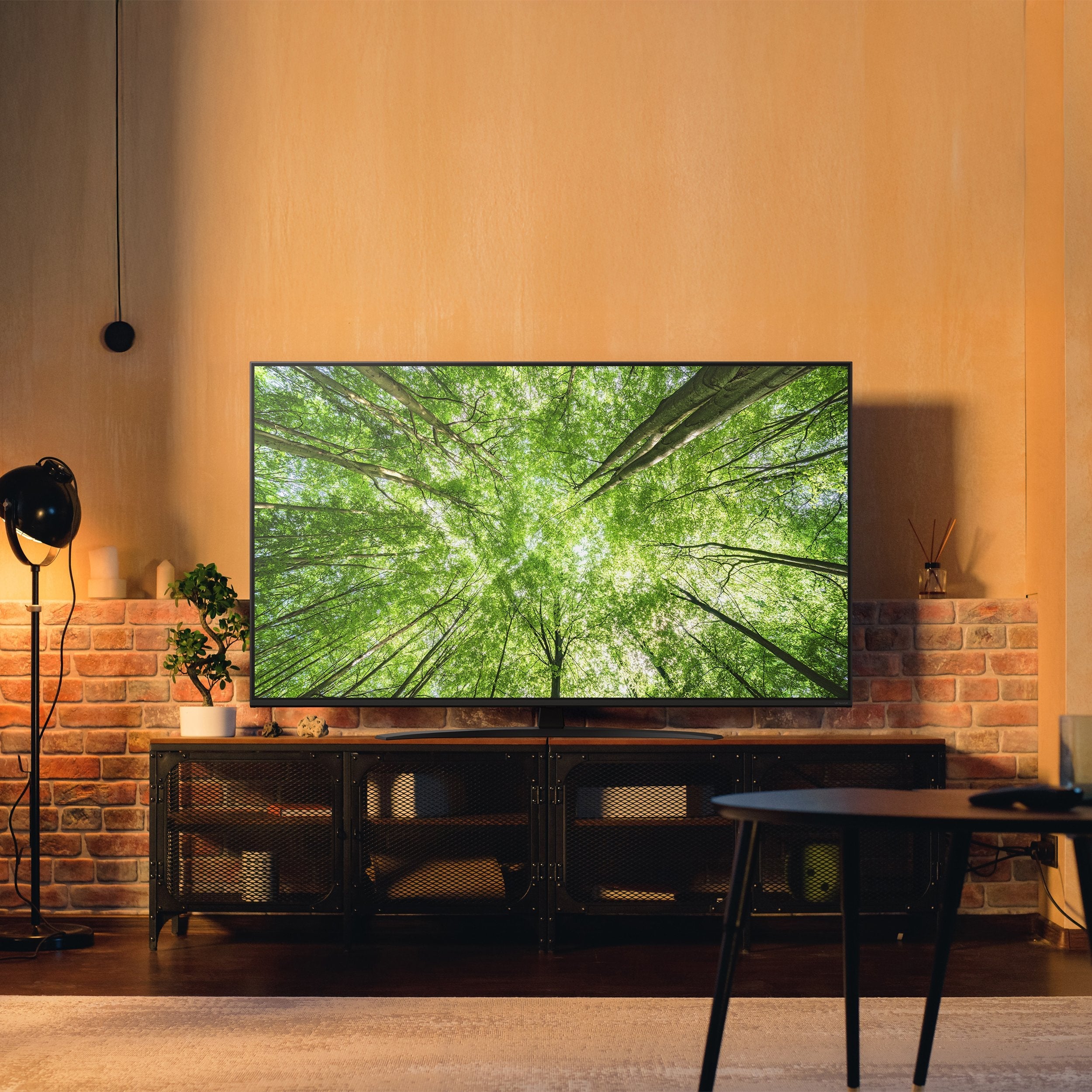EAN 8806096360286 - LG NanoCell AI 65NANO81A6A 165,1 cm (65") 4K Ultra HD Smart TV Wifi Negro imagen 2