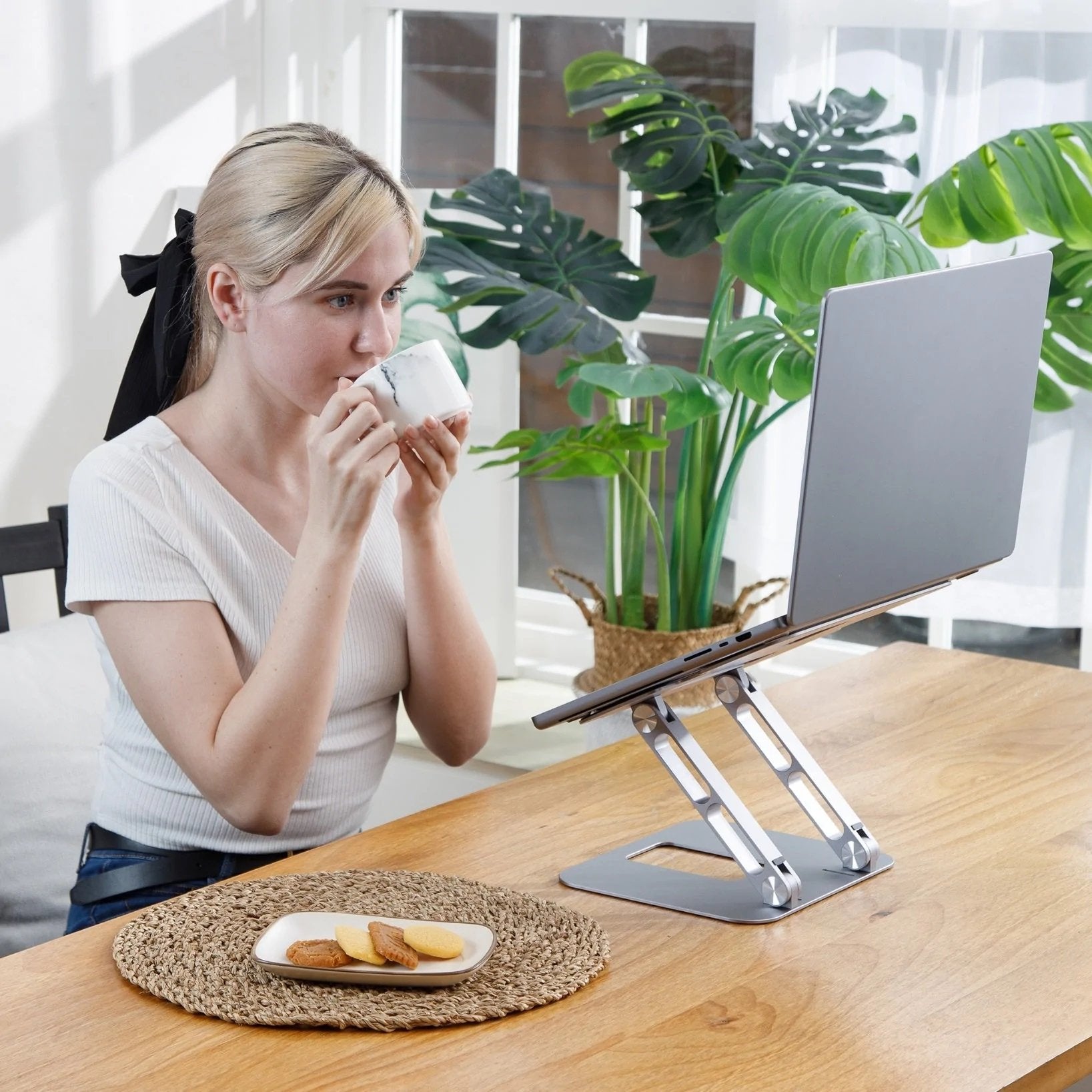 Multi-Angle Laptop Stand Accs
