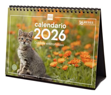 EAN 8422952402268 - Finocam 780323826 calendario Mesa imagen 1