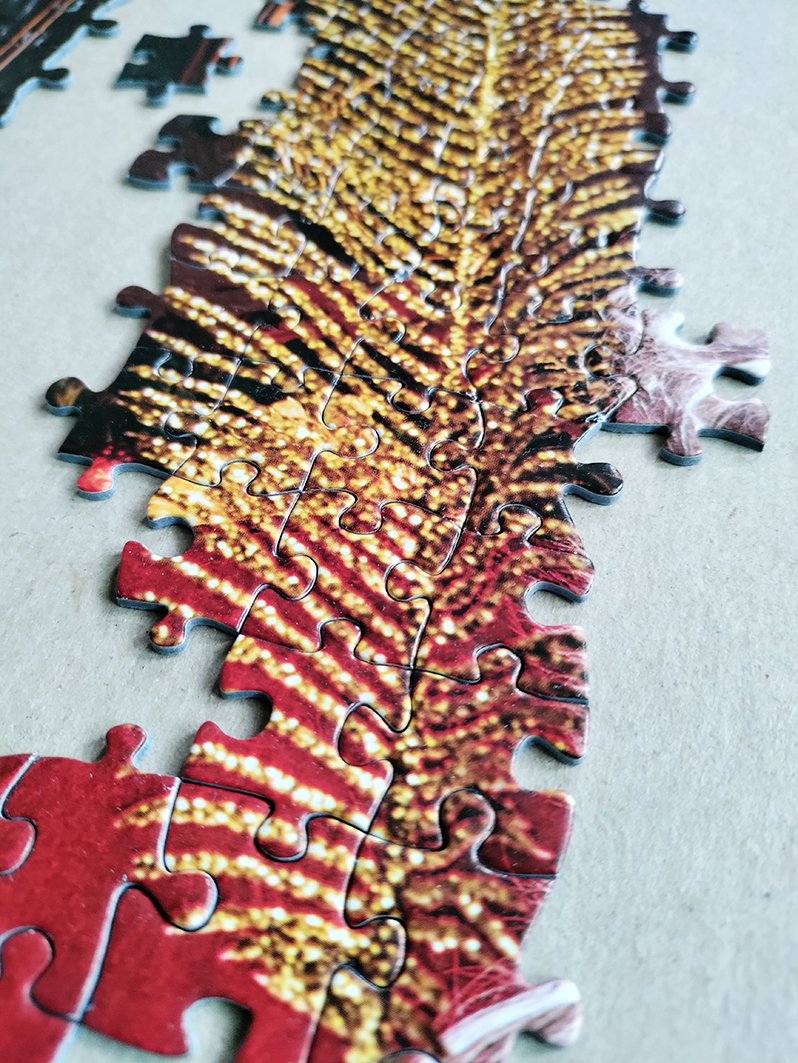 Puzzle 1000 Elementów Swiety Mikolaj W Swoim Domu