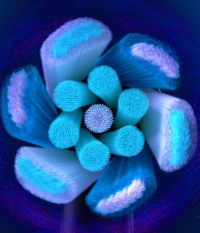 EAN 4210201319832 - Oral-B iO Ultimate Clean Ultimative 2 pieza(s) Negro imagen 9