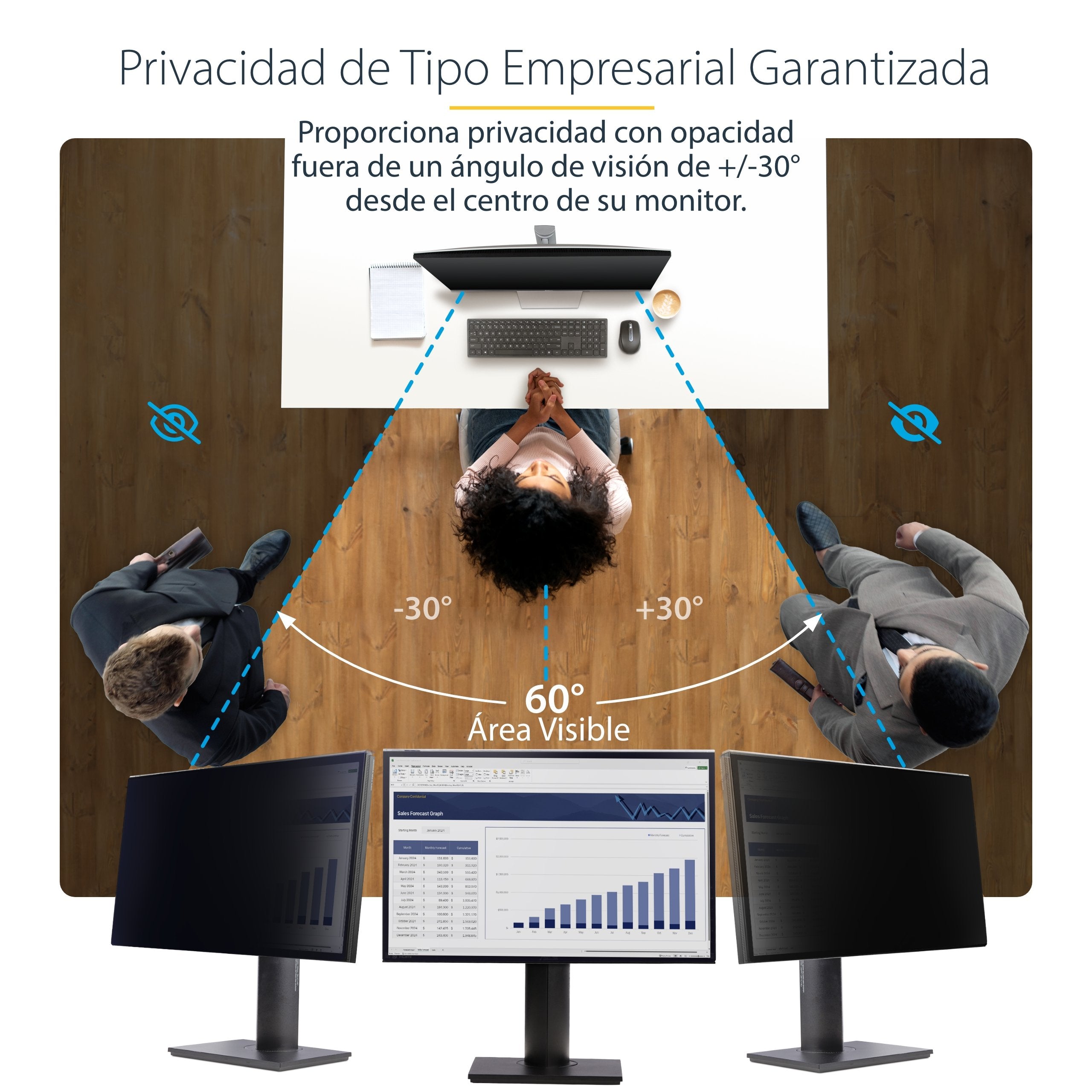 Filtro De Privacidad Startech.Com  16:9 Para Monitor De 27"  Ángulo De Visión De +/- 30° - Brillante