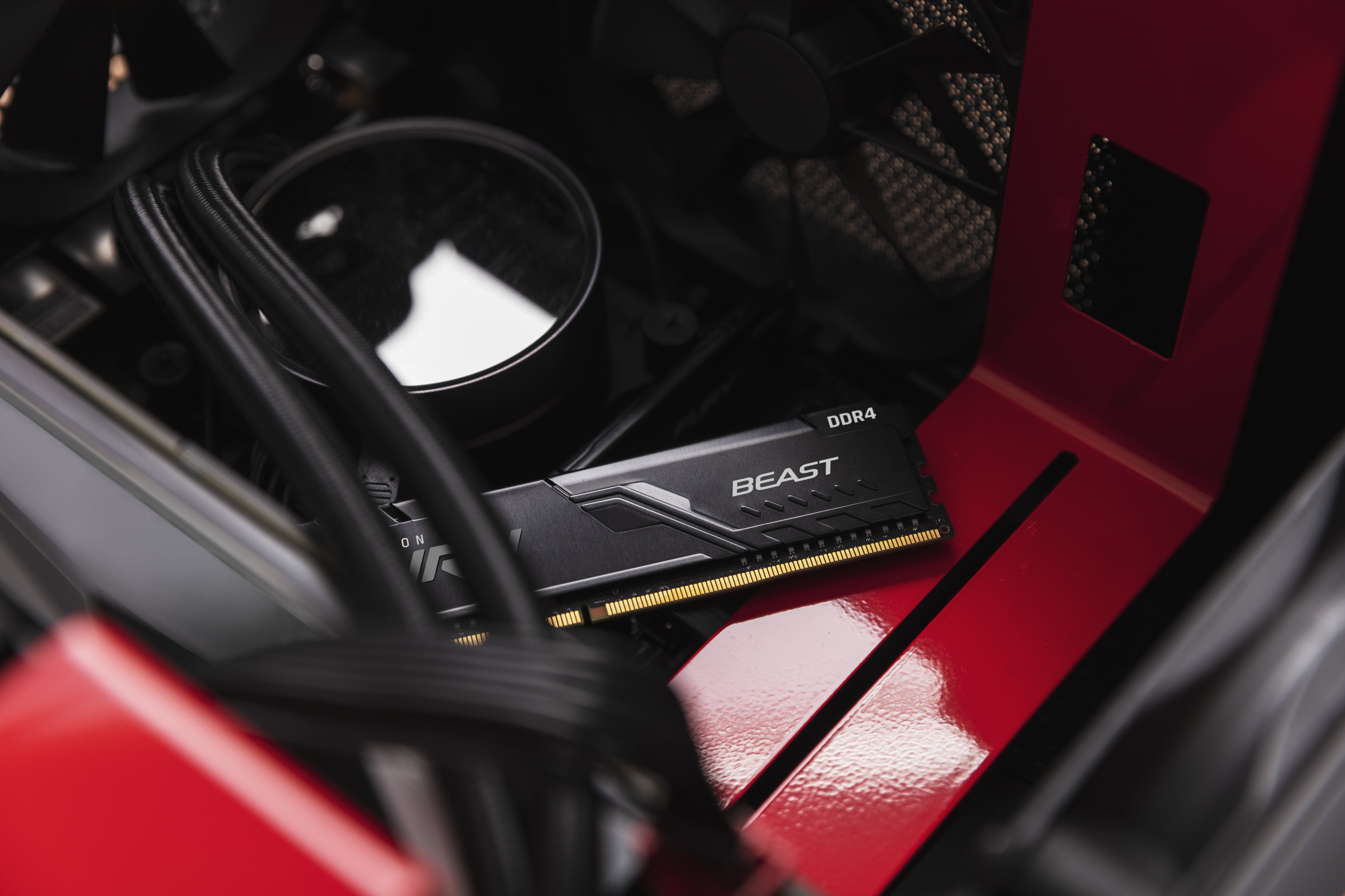 EAN 0740617319781 - Kingston Technology FURY Beast módulo de memoria 2 x 8 GB 3600 MT/s 288-pin DIMM imagen 10