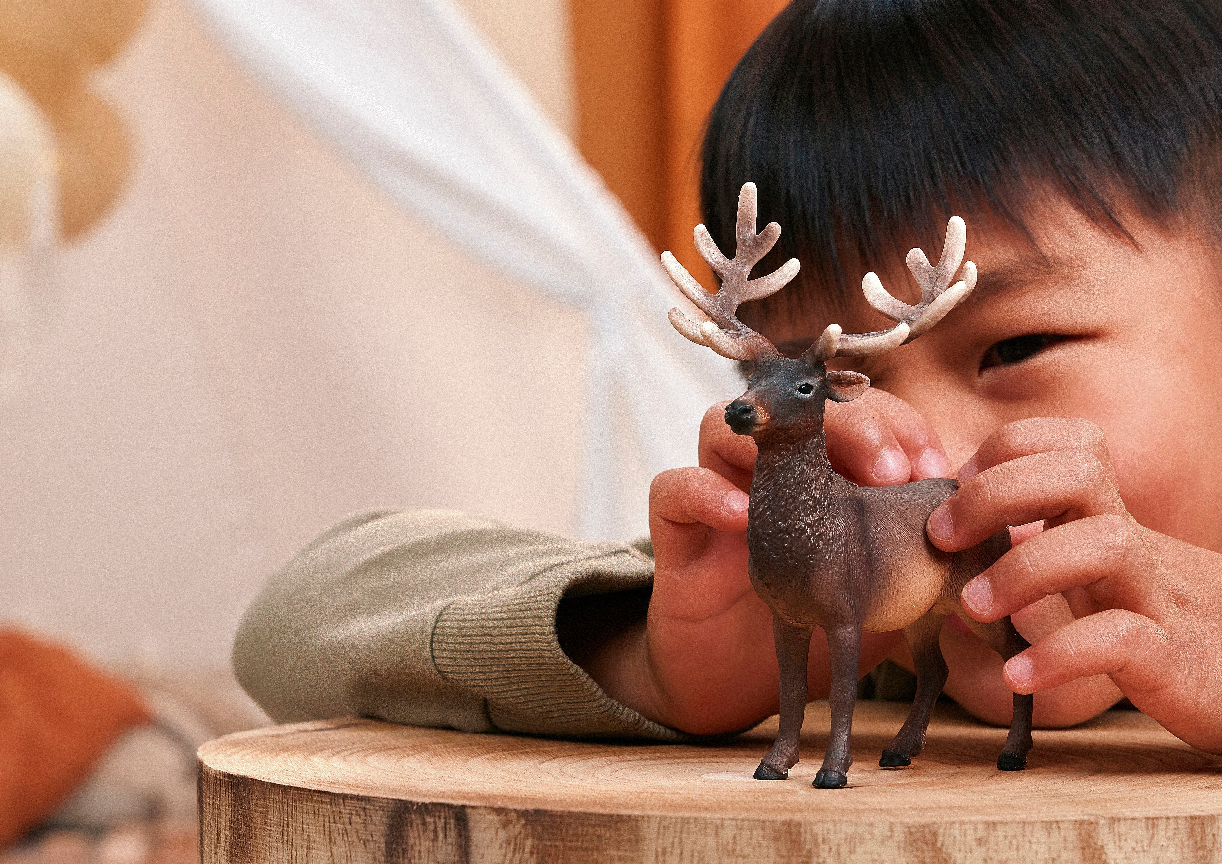 Schleich Wild Life Amerikanischer Rojohirsch 14992
