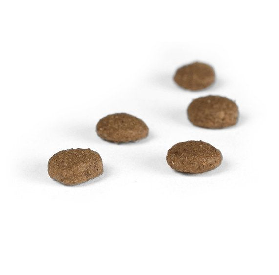 Josera 9702 Alimento Seco Para Gatos 2 Kg Adult Aves, Arroz