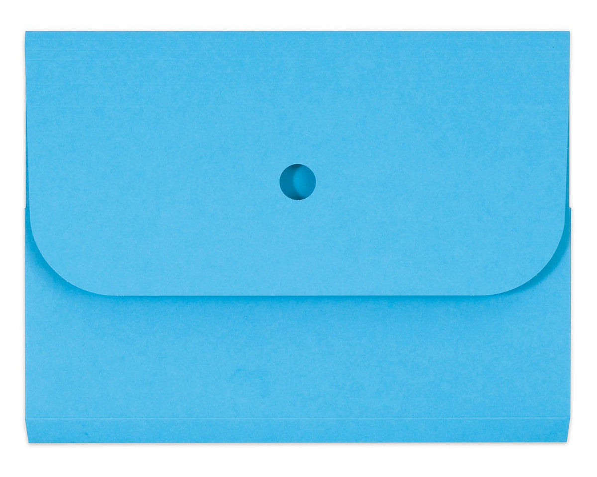 Elco 25 Sammelmappen Ordo Forte 0.3 Cm Azul