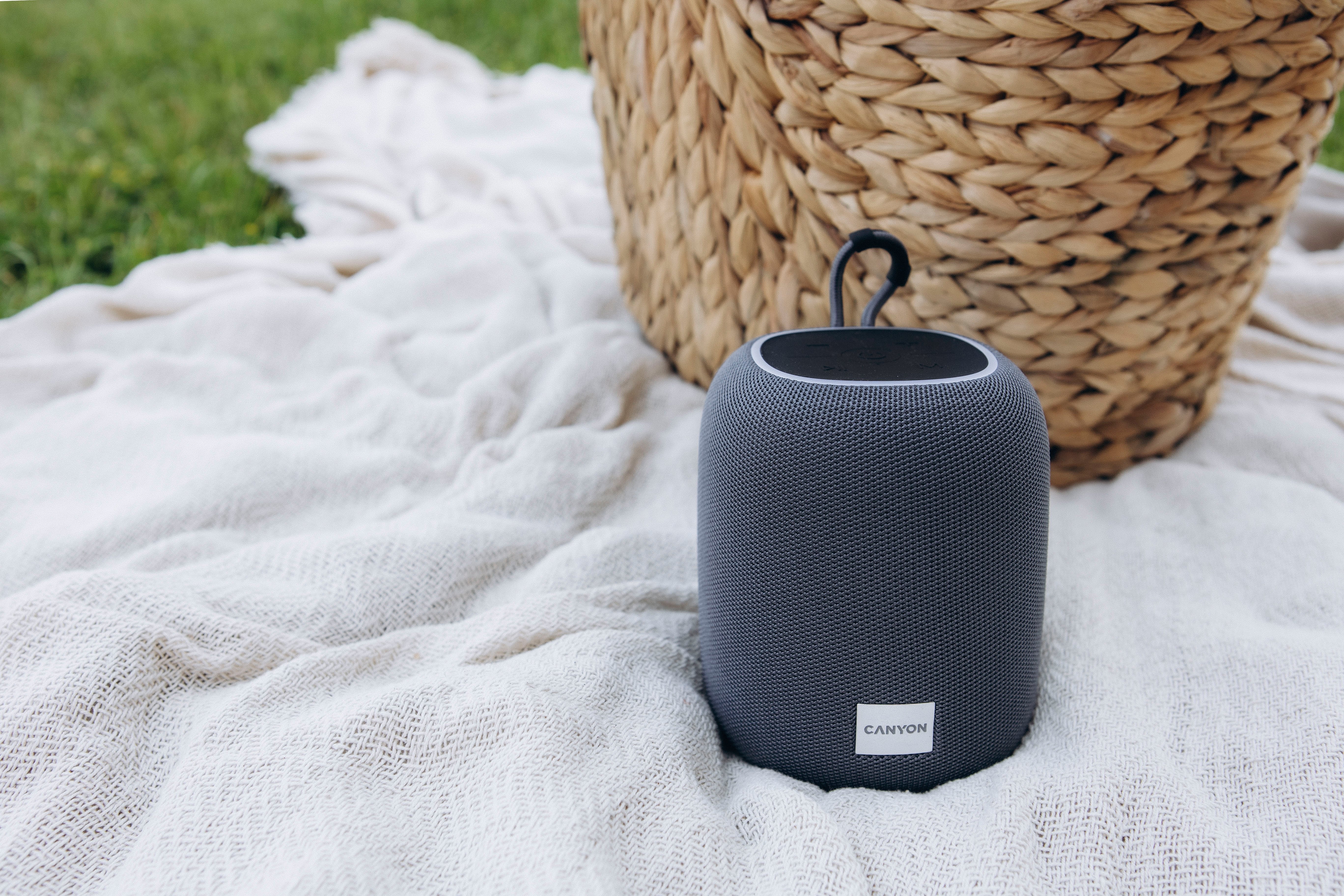 Canyon Bluetooth Speaker Bsp-8 Tf Reader Usb-C 10w Gris Retail