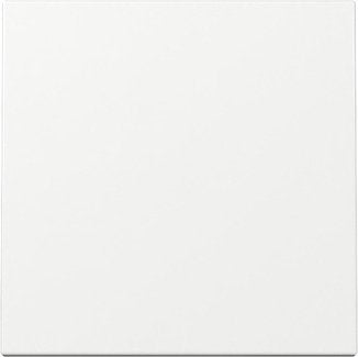 Gira 329603 Placa De Pared Y Cubierta De Interruptor Blanco
