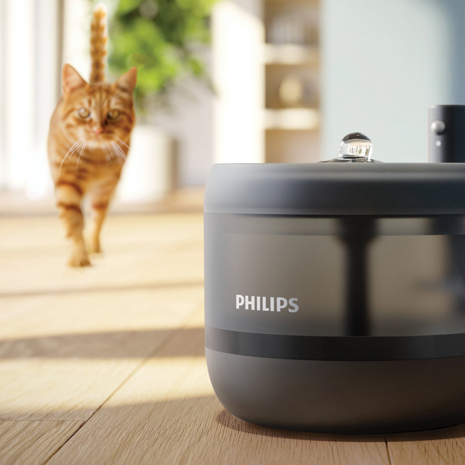 Philips Pet Water Fountain 2,2l Negro Negro (Paw3210 02)