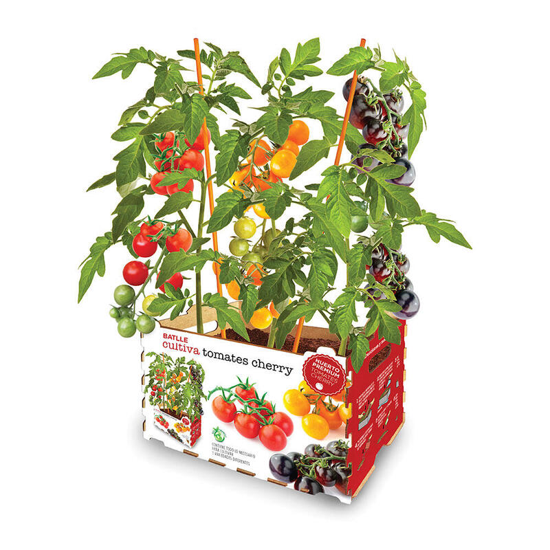 Caja Tomates Colores Batlle