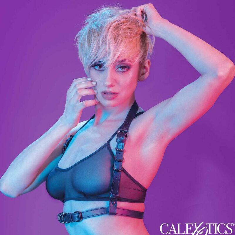 Calexotics - Euphoria Arnés Hatler Con Hebilla Negro