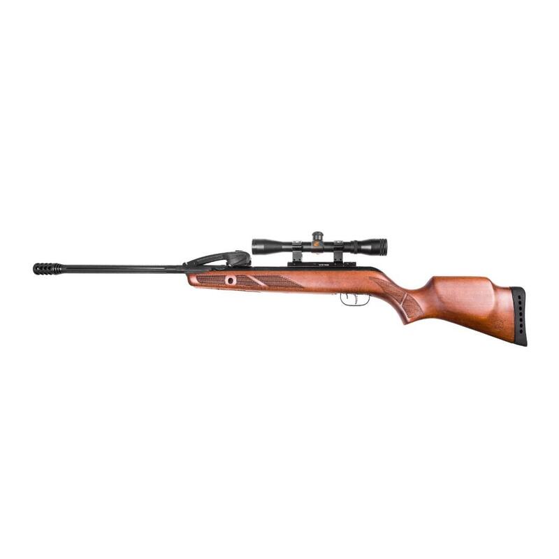 Carabina Gamo Fast Shot 10 X Igt De 4,5 Mm A 17 J