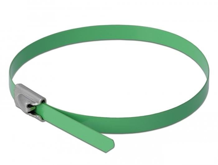 Delock Edelstahlcablebinder L 300 X B 4,6 Mm Grün 10 Stück