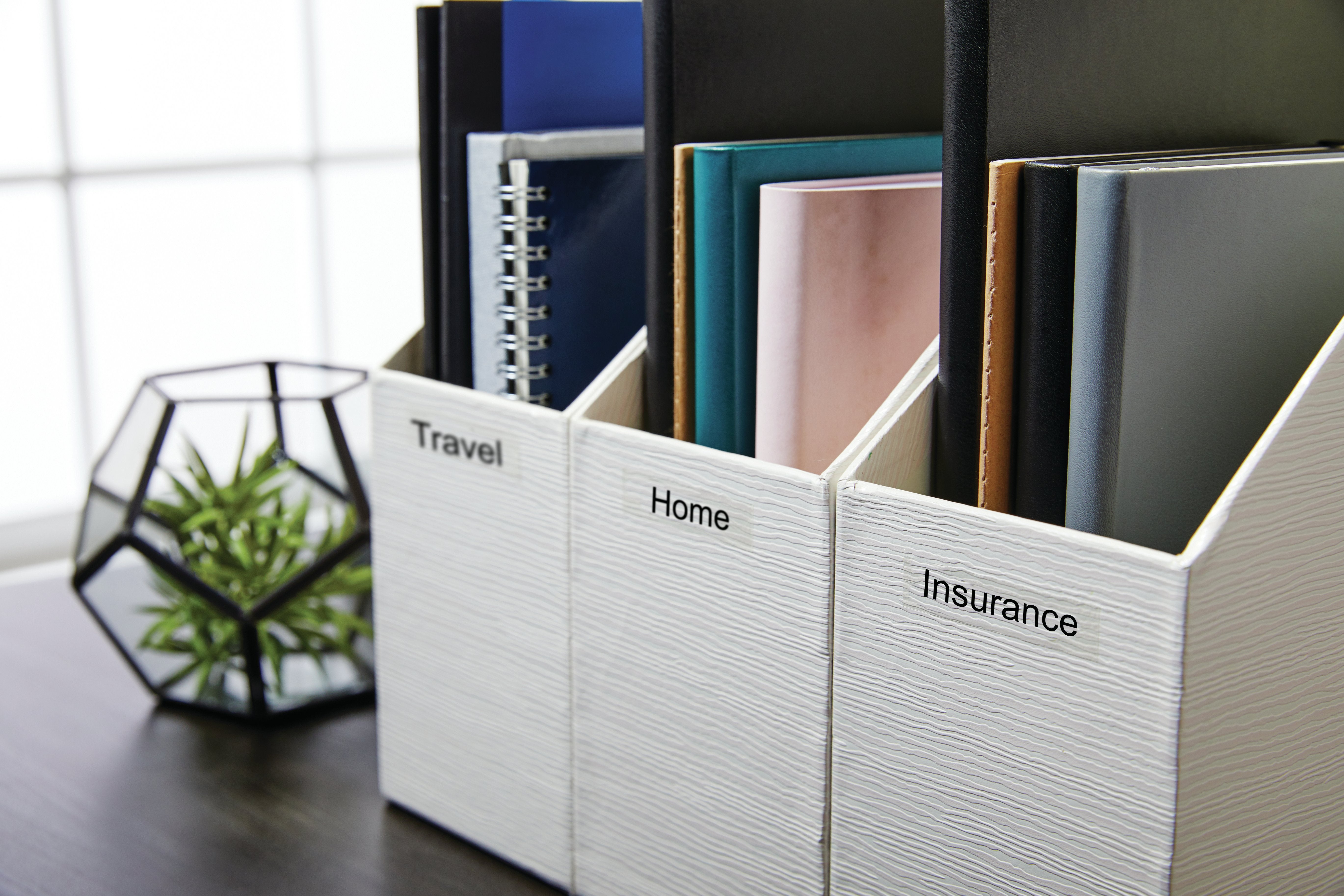 EAN 3501170784440 - DYMO LabelManager 210D™ QWY impresora de etiquetas Transferencia térmica 180 x 180 DPI 12 mm/s D1 imagen 2