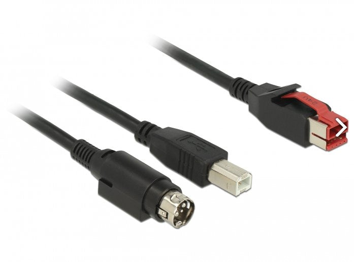 Delock 85488 Poweredusb Cable Macho 24 V > Usb Tipo-B Macho + Hosiden Mini-Din De 3 Pines, Macho De 2 M Para Impresoras Y Terminales De Punto De Venta