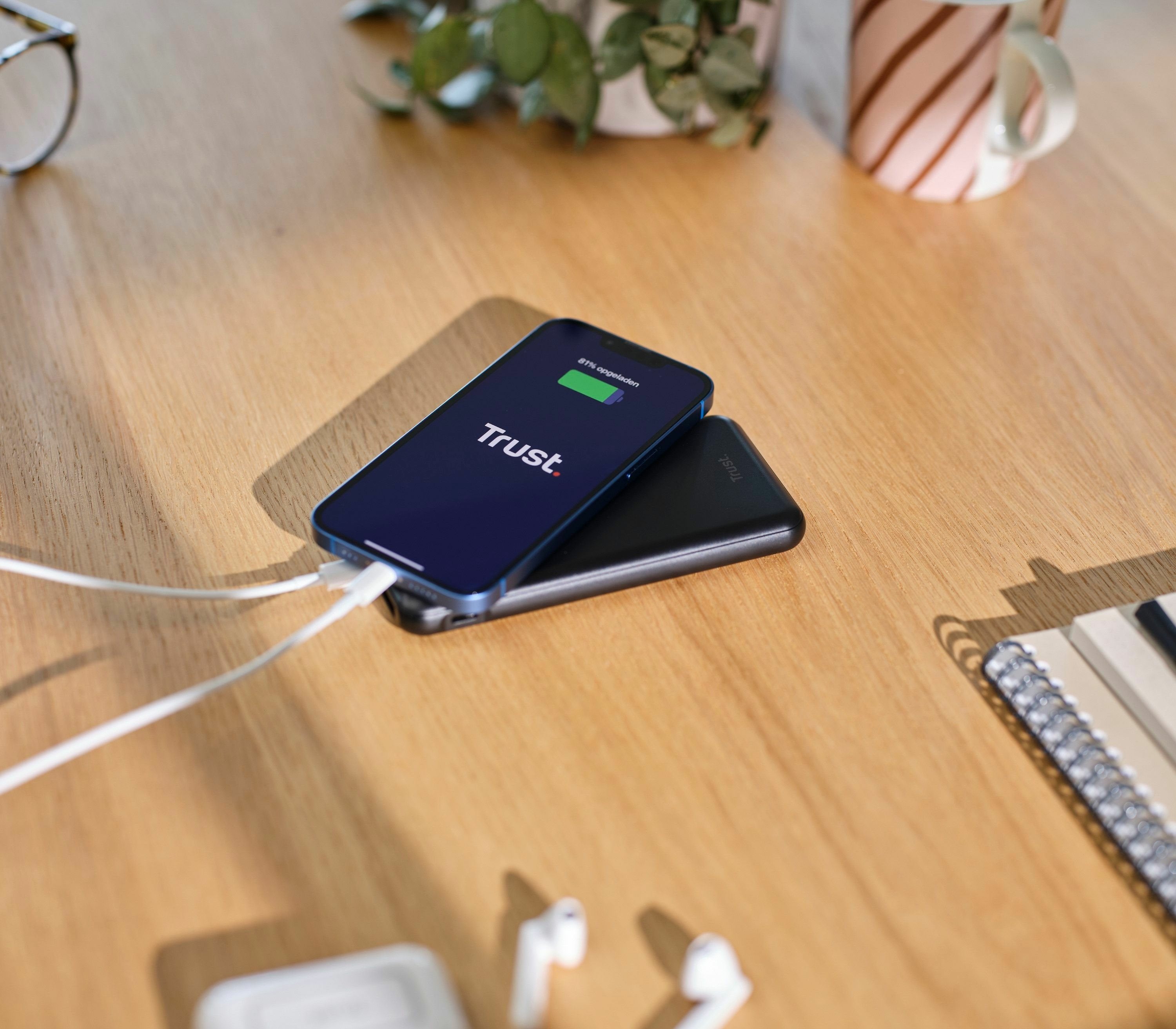 EAN 8713439248791 - Trust Redoh Ión de litio 10000 mAh Negro imagen 5