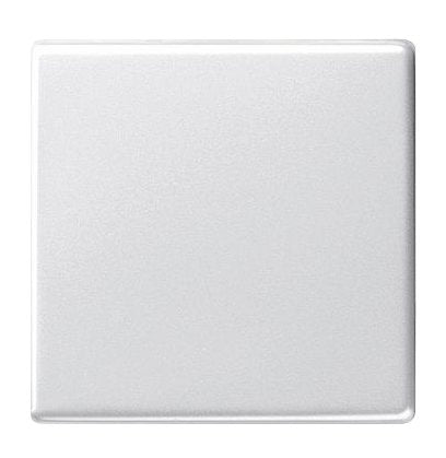 Gira 029603 Wippe Wechsel Reinweiss System 55