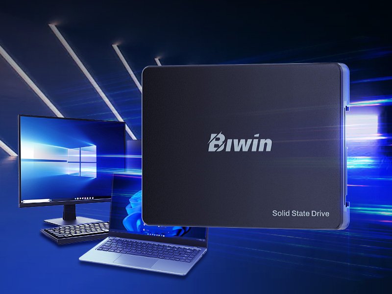 EAN 0887184025292 - Biwin M100 256 GB 2.5" Serial ATA III imagen 10