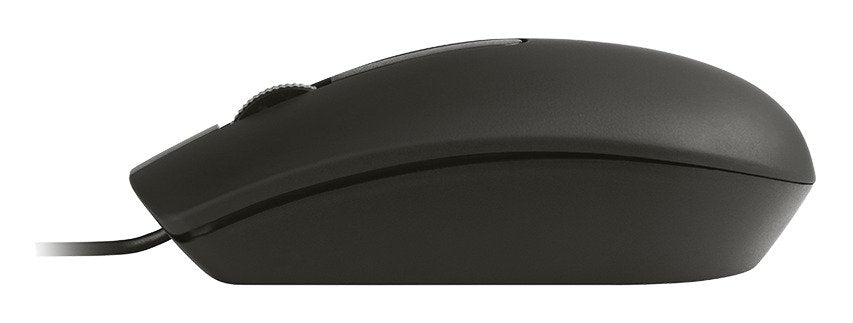 Tracer Offi Black Usb